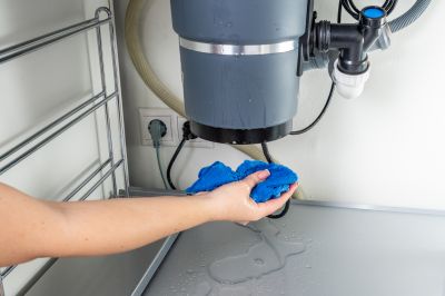 Garbage Disposal Repair in Carson City, NV